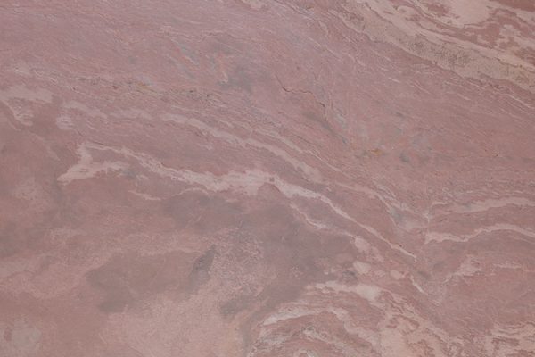terrared_desen1